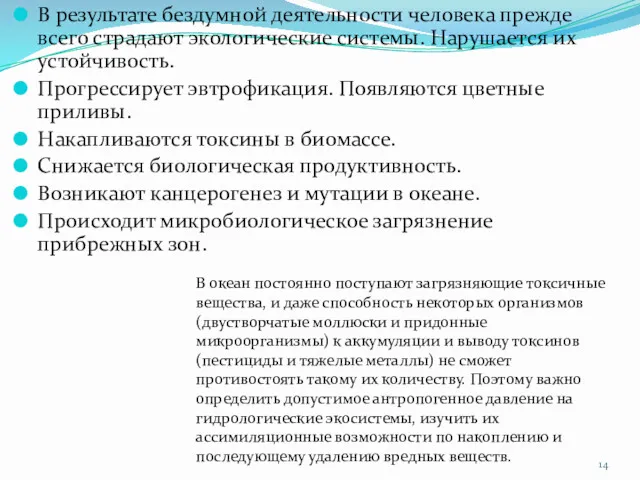 В результате бездумной деятельности человека прежде всего страдают экологические системы.