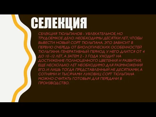 СЕЛЕКЦИЯ СЕЛЕКЦИЯ ТЮЛЬПАНОВ - УВЛЕКАТЕЛЬНОЕ, НО ТРУДОЕМКОЕ ДЕЛО. НЕОБХОДИМЫ ДЕСЯТКИ