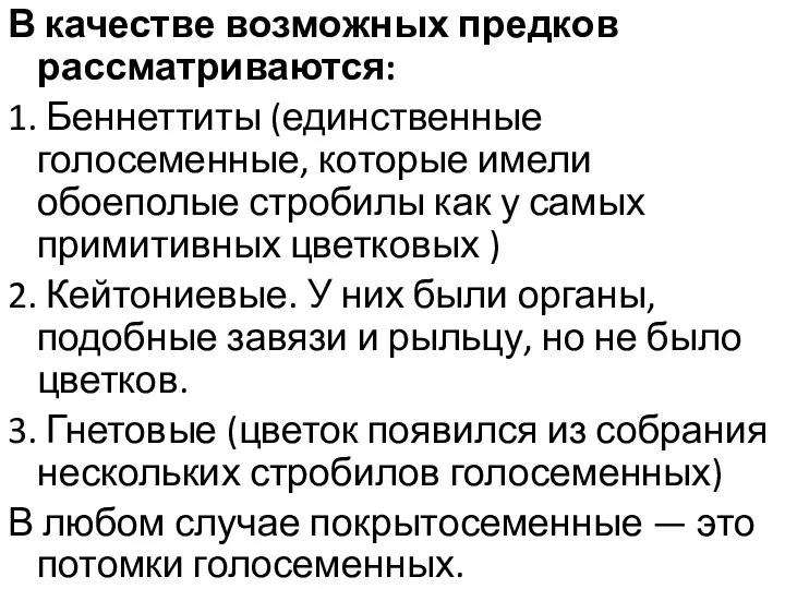 В качестве возможных предков рассматриваются: 1. Беннеттиты (единственные голосеменные, которые