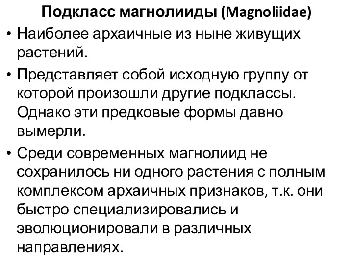 Подкласс магнолииды (Magnoliidae) Наиболее архаичные из ныне живущих растений. Представляет