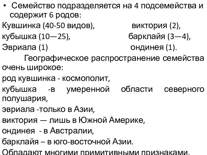 Семейство подразделяется на 4 подсемейства и содержит 6 родов: Кувшинка