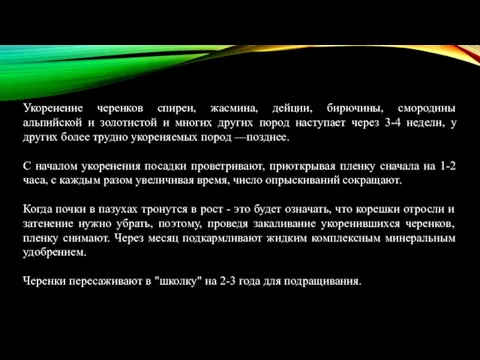 Укоренение черенков спиреи, жасмина, дейции, бирючины, смородины альпийской и золотистой