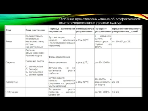 В таблице представлены данные об эффективности зеленого черенкования у разных культур