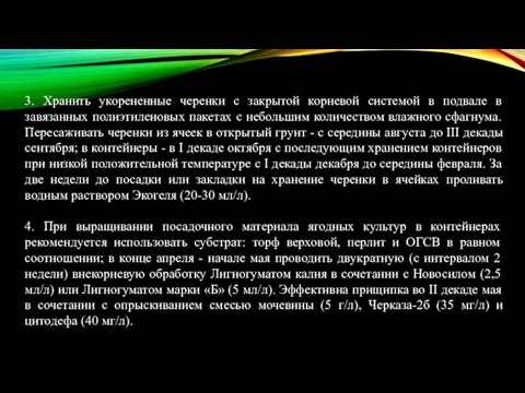 3. Хранить укорененные черенки с закрытой корневой системой в подвале