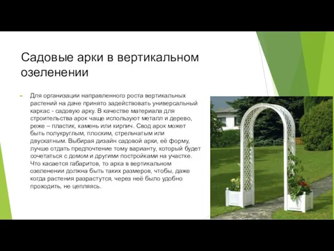 Садовые арки в вертикальном озеленении Для организации направленного роста вертикальных