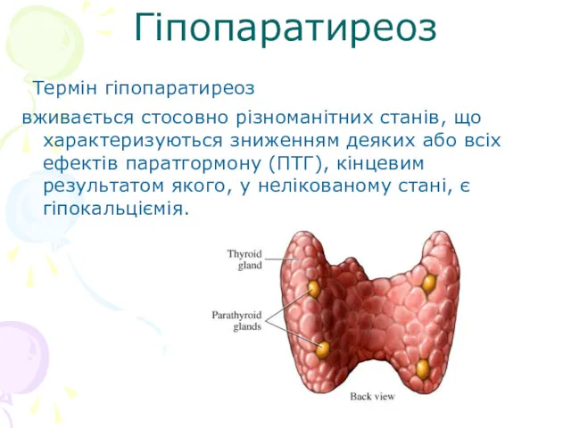 Гіпопаратиреоз Термін гіпопаратиреоз вживається стосовно різноманітних станів, що характеризуються зниженням