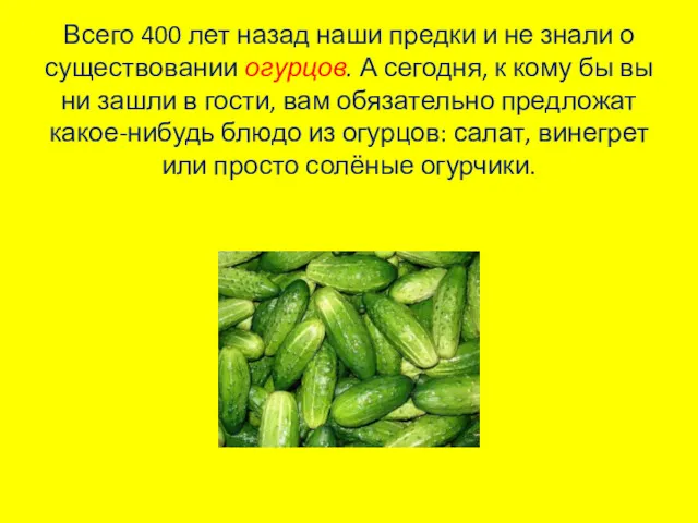 Всего 400 лет назад наши предки и не знали о существовании огурцов. А