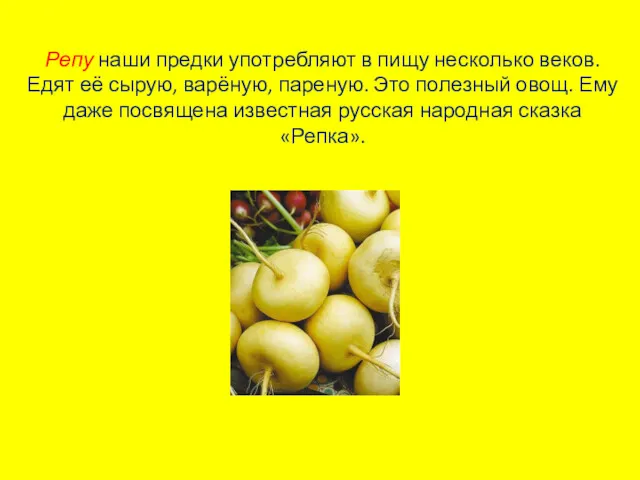 Репу наши предки употребляют в пищу несколько веков. Едят её сырую, варёную, пареную.