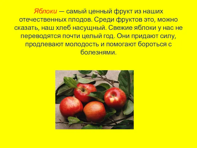Яблоки — самый ценный фрукт из наших отечественных плодов. Среди фруктов это, можно