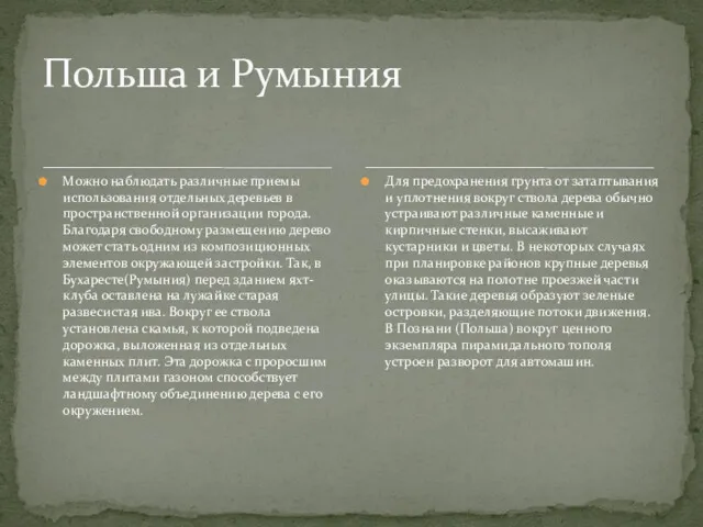 Можно наблюдать различные приемы использования отдельных деревьев в пространственной организации