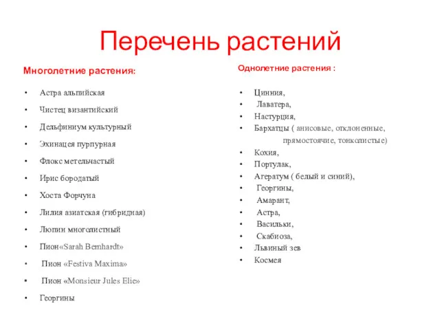 Перечень растений Однолетние растения : Цинния, Лаватера, Настурция, Бархатцы (