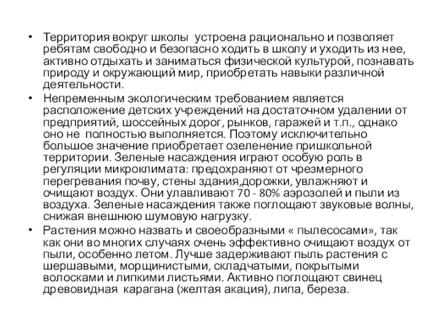 Территория вокруг школы устроена рационально и позволяет ребятам свободно и