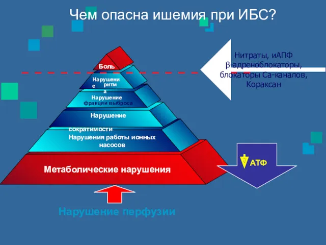 Нарушение перфузии Чем опасна ишемия при ИБС? АТФ Нитраты, иАПФ β-адреноблокаторы, блокаторы Са-каналов, Кораксан