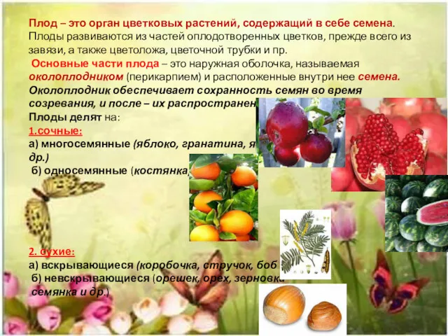 Плод – это орган цветковых растений, содержащий в себе семена.