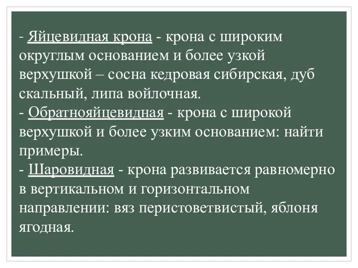 - Яйцевидная крона - крона с широким округлым основанием и