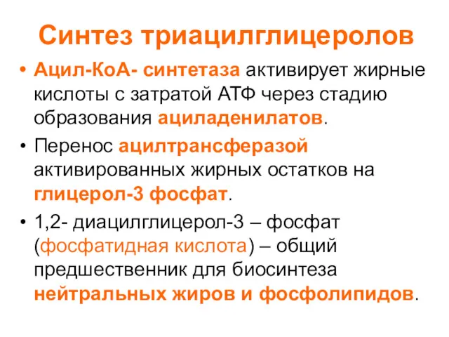 Синтез триацилглицеролов Ацил-КоА- синтетаза активирует жирные кислоты с затратой АТФ