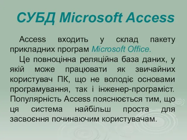 СУБД Microsoft Access Access входить у склад пакету прикладних програм