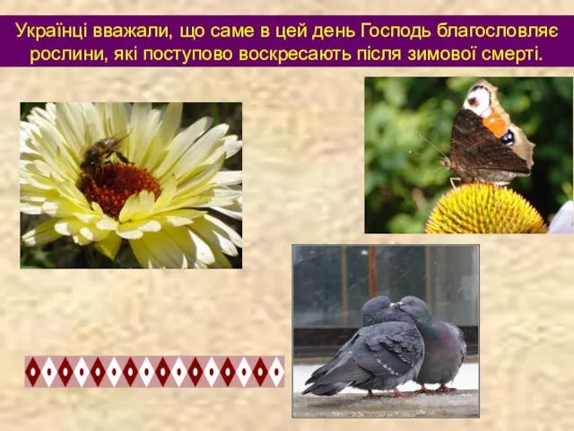 Українці вважали, що саме в цей день Господь благословляє рослини, які поступово воскресають після зимової смерті.