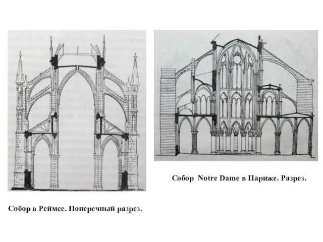 Собор в Реймсе. Поперечный разрез. Собор Notre Dame в Париже. Разрез.