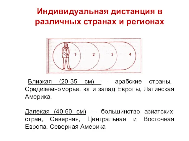 Близкая (20-35 см) — арабские страны, Средиземноморье, юг и запад