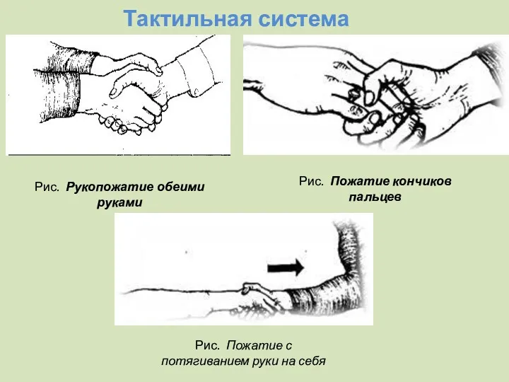 Рис. Рукопожатие обеими руками Рис. Пожатие кончиков пальцев Рис. Пожатие