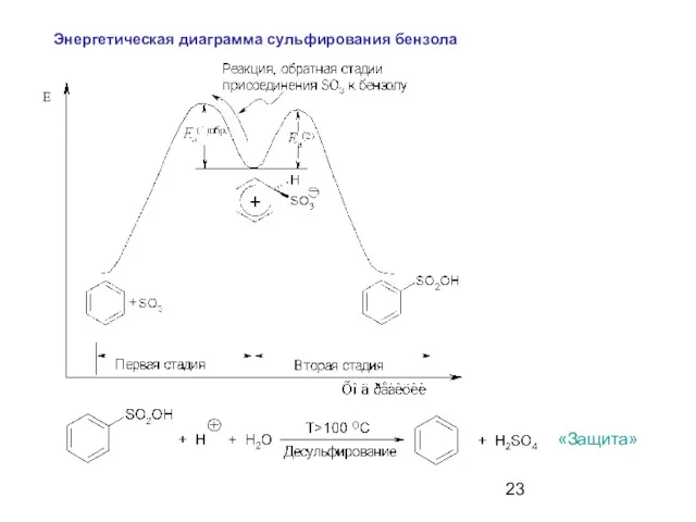 E Энергетическая диаграмма сульфирования бензола «Защита»