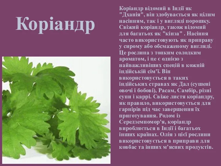 Коріандр Коріандр відомий в Індії як "Дханія", він здобувається як