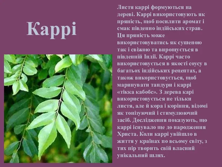 Каррі Листя каррі формуються на дереві. Каррі використовують як пряність,