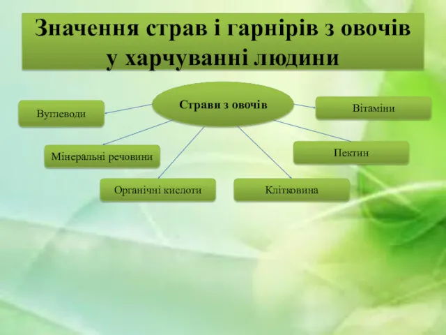 Значення страв і гарнірів з овочів у харчуванні людини Страви