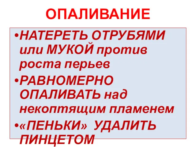 ОПАЛИВАНИЕ НАТЕРЕТЬ ОТРУБЯМИ или МУКОЙ против роста перьев РАВНОМЕРНО ОПАЛИВАТЬ над некоптящим пламенем «ПЕНЬКИ» УДАЛИТЬ ПИНЦЕТОМ