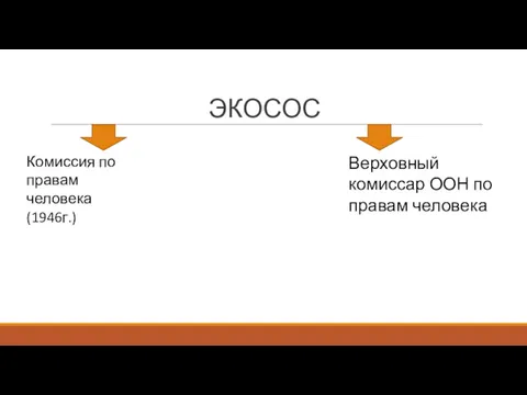 ЭКОСОС Комиссия по правам человека(1946г.) Верховный комиссар ООН по правам человека