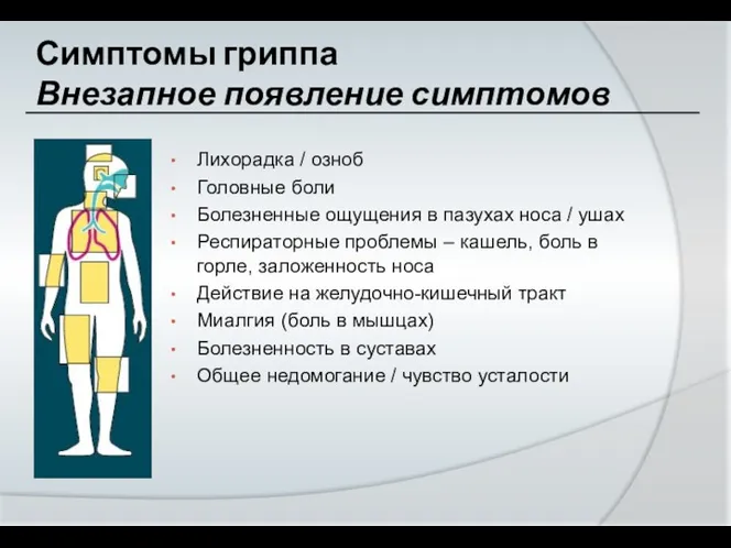 Симптомы гриппа Внезапное появление симптомов Лихорадка / озноб Головные боли Болезненные ощущения в