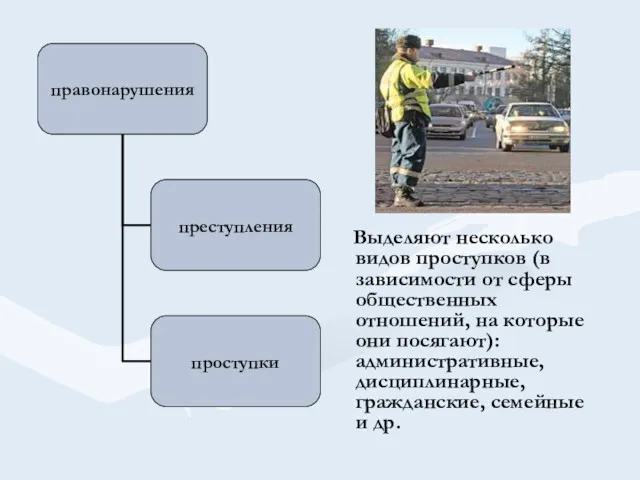 Выделяют несколько видов проступков (в зависимости от сферы общественных отношений,