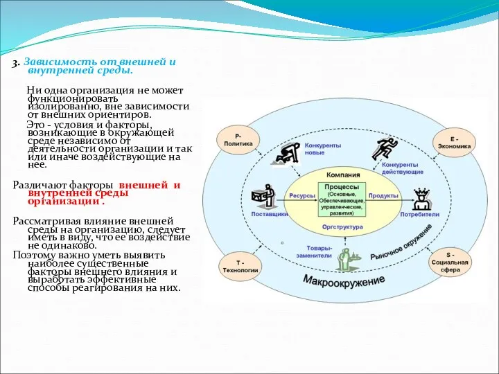 3. Зависимость от внешней и внутренней среды. Ни одна организация