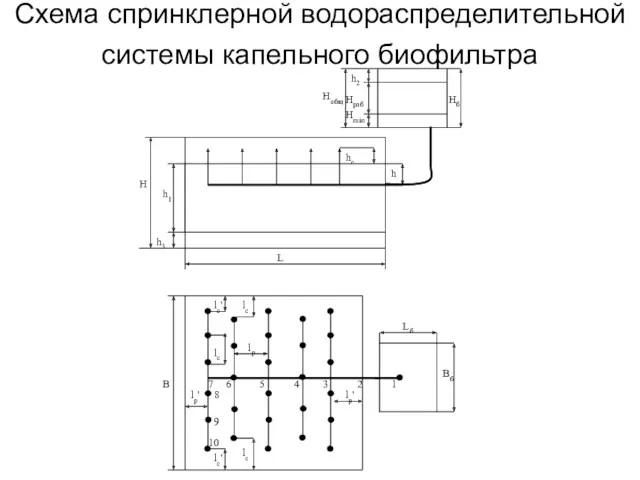 Схема спринклерной водораспределительной системы капельного биофильтра
