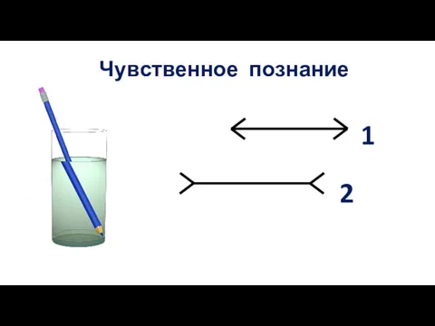 Чувственное познание 1 2