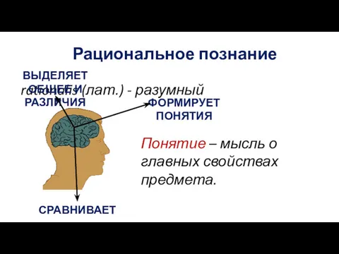 Рациональное познание rationalis (лат.) - разумный СРАВНИВАЕТ ВЫДЕЛЯЕТ ОБЩЕЕ И