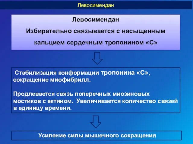 Левосимендан Избирательно связывается с насыщенным кальцием сердечным тропонином «С» Левосимендан