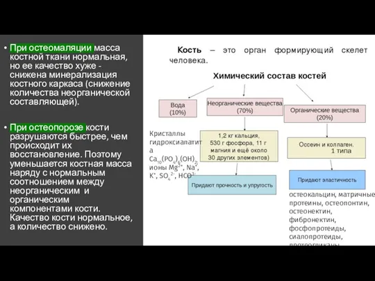 При остеомаляции масса костной ткани нормальная, но ее качество хуже