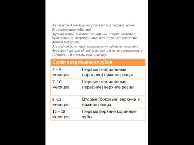 В возрасте 4 месяца могут появиться первые зубки. Это настоящее