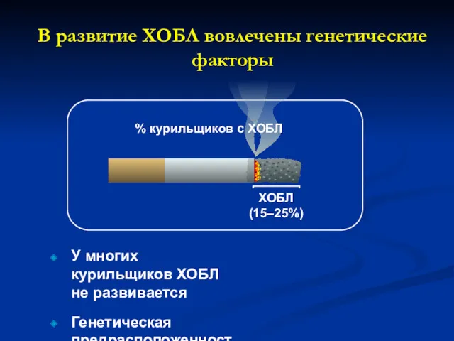 В развитие ХОБЛ вовлечены генетические факторы ХОБЛ (15–25%) У многих курильщиков ХОБЛ не