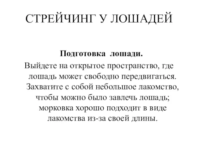 СТРЕЙЧИНГ У ЛОШАДЕЙ Подготовка лошади. Выйдете на открытое пространство, где