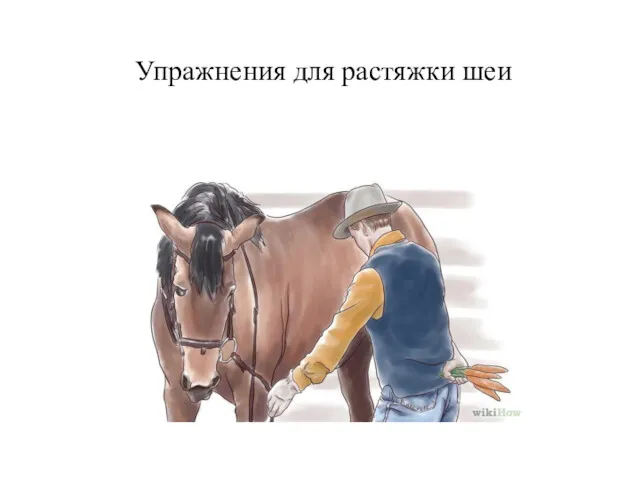 Упражнения для растяжки шеи