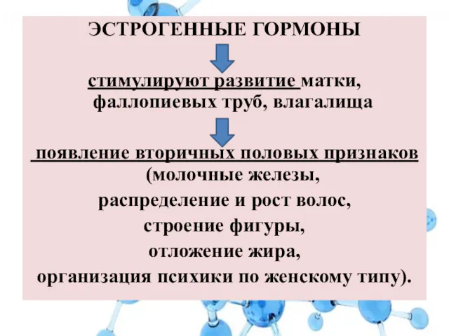 ЭСТРОГЕННЫЕ ГОРМОНЫ стимулируют развитие матки, фаллопиевых труб, влагалища появление вторичных