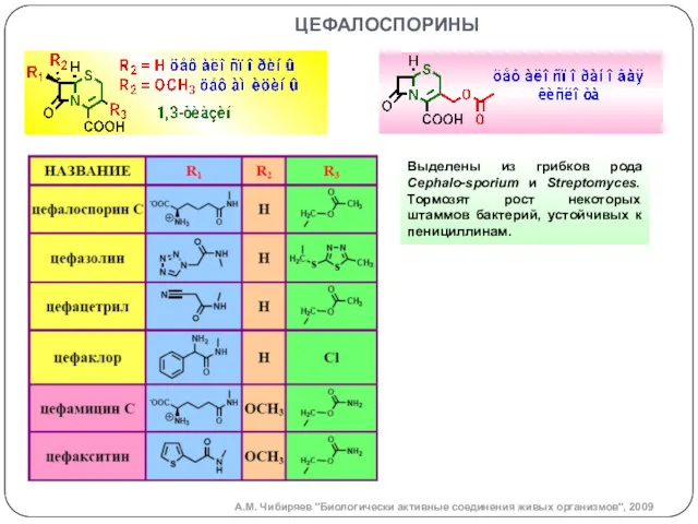 цефалоспорины Выделены из грибков рода Cephalo-sporium и Streptomyces. Тормозят рост