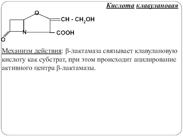 Механизм действия: β-лактамаза связывает клавулановую кислоту как субстрат, при этом