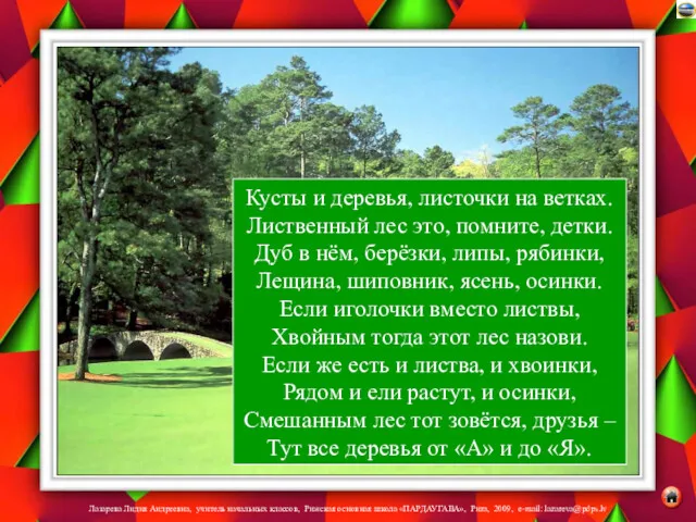 Кусты и деревья, листочки на ветках. Лиственный лес это, помните,