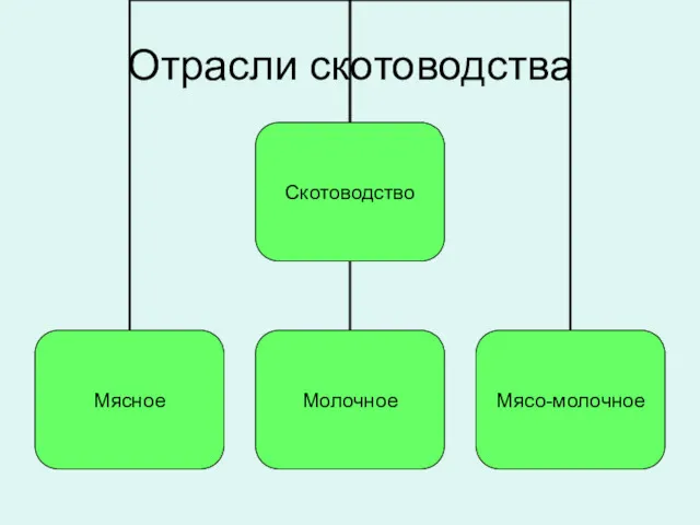 Отрасли скотоводства