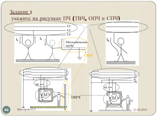 Задание : укажите на рисунках ПЧ (ТВЧ, ОПЧ и СПЧ) 23.08.2019 Коккарева Е.С.
