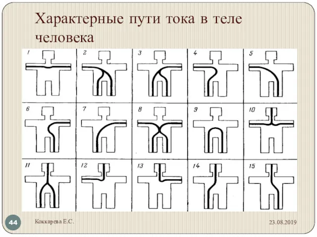 Характерные пути тока в теле человека 23.08.2019 Коккарева Е.С.